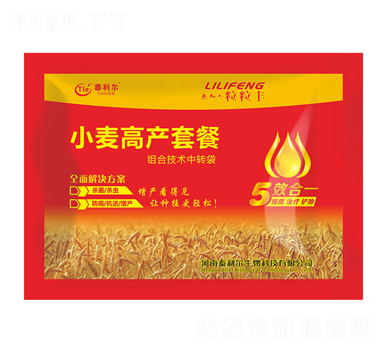 С���߮a�ײͣ���Ч��һ��-�����S-̩����