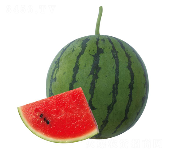 �H��10̖(h��o)-���ϷN��-��ľ�N��