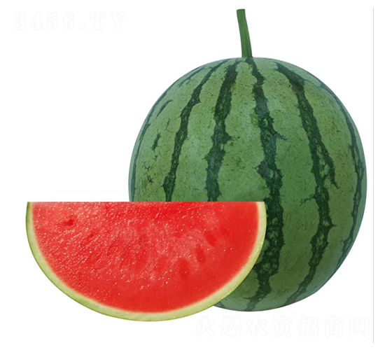 �H��7̖(h��o)-���ϷN��-��ľ�N��