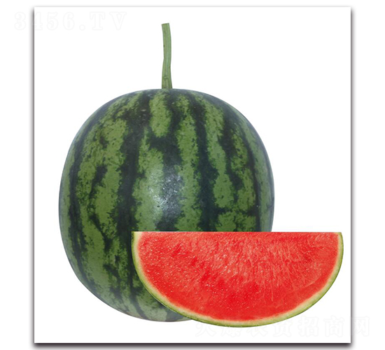 �H��6̖(h��o)-���ϷN��-��ľ�N��