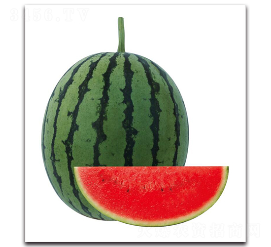 �H��3̖-���ϷN��-��ľ�N��