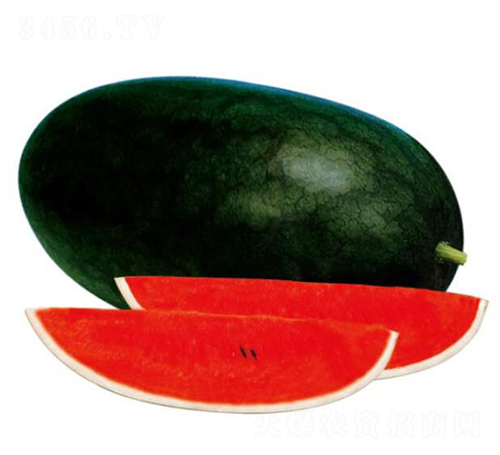 ��ľ������-���ϷN��-��ľ�N��