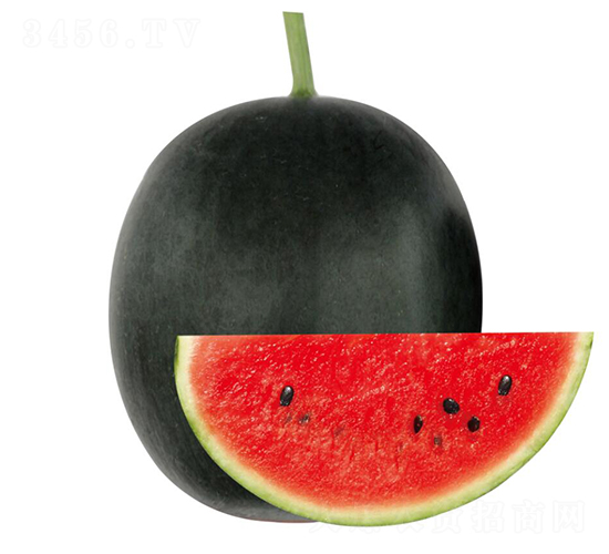 ����-���ϷN��-��ľ�N��