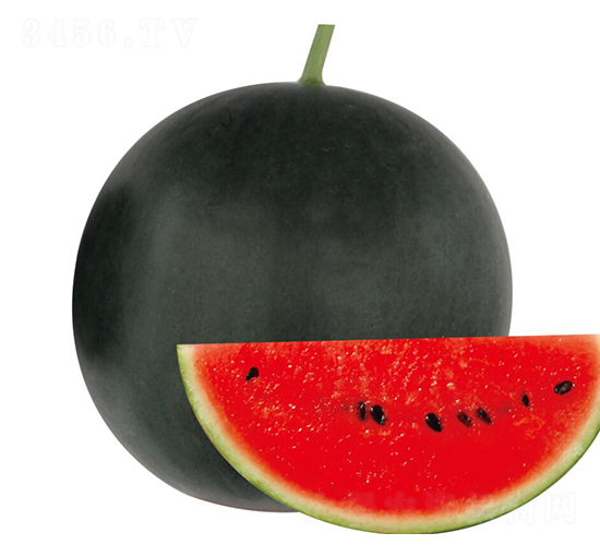 ��ɽ-���ϷN��-��ľ�N��