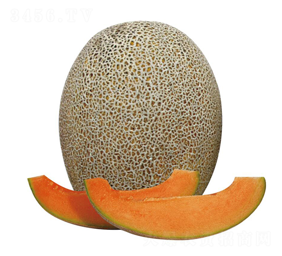 ����-��ϷN��-��ľ�N��