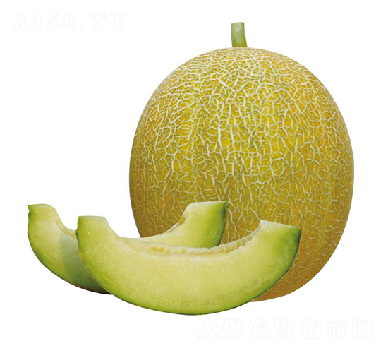 ����-��ϷN��-��ľ�N��