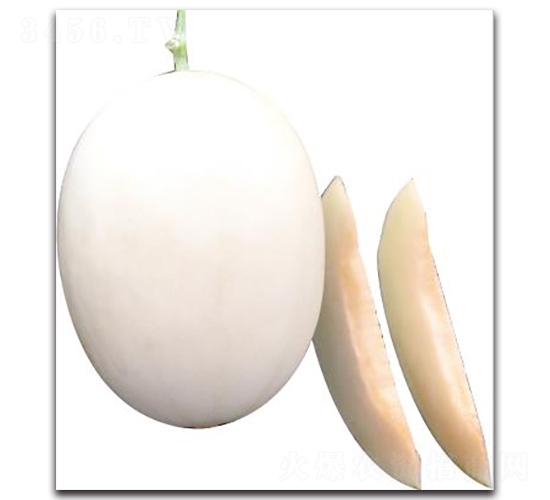 ����ѩ-��ϷN��-��ľ�N��