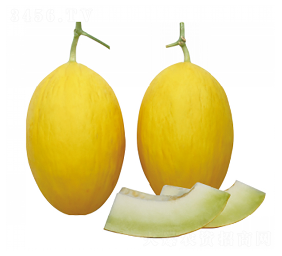 ����-��ϷN��-��ľ�N��