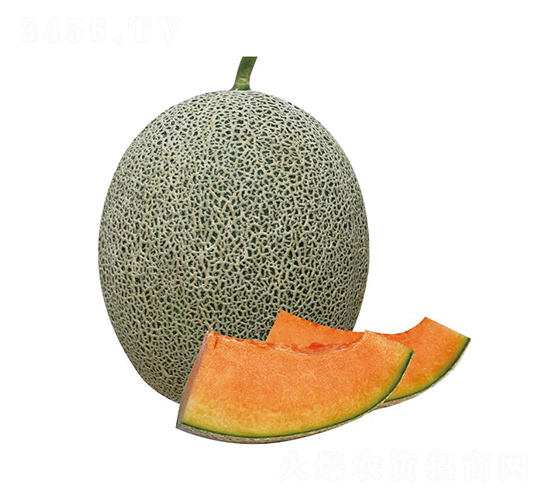 ����-��ϷN��-��ľ�N��