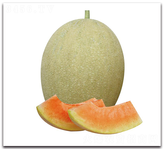 ����Ů-��ϷN��-��ľ�N��