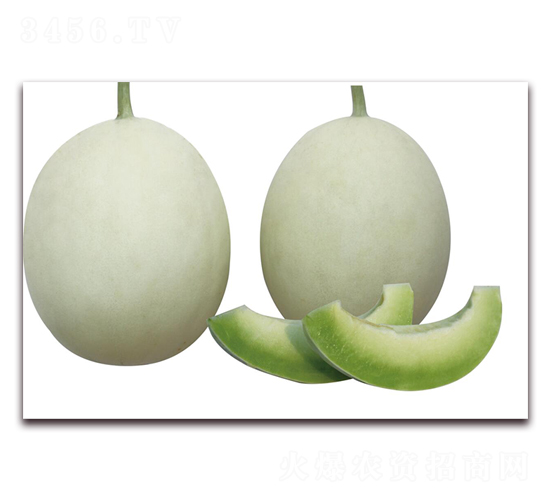 �׹���-��ϷN��-��ľ�N��