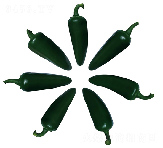 ����06-�����N��-��ľ�N��