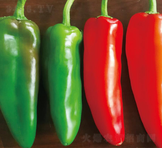 �G��-�����N��-��ľ�N��