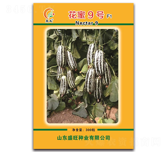 ����9̖(h��o)F1-��ϷN��-ʢ���N�I(y��)