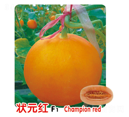 ��Ԫ�tF1-��ϷN��-ʢ���N�I(y��)