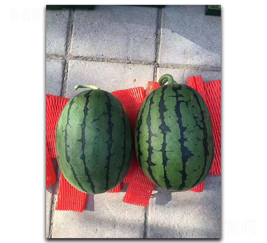 ����2K-���ϷN��-ʢ���N�I(y��)