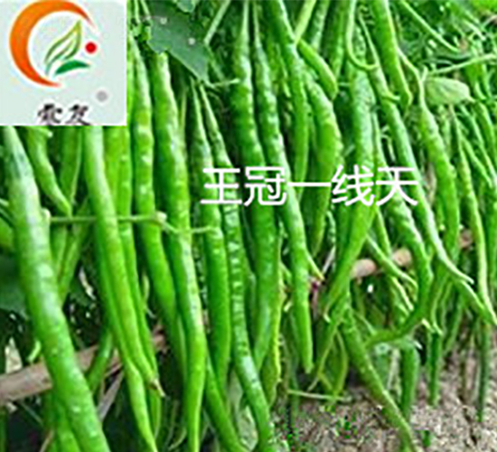 ����һ����-�����N��-ʢ���N�I(y��)