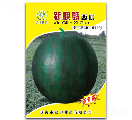 ����������-���ϷN��-����N��