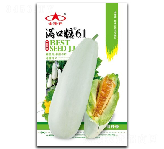 �M����61-��ϷN��-��¡��