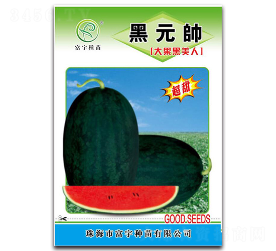 ��Ԫ��-���ϷN��-����N��