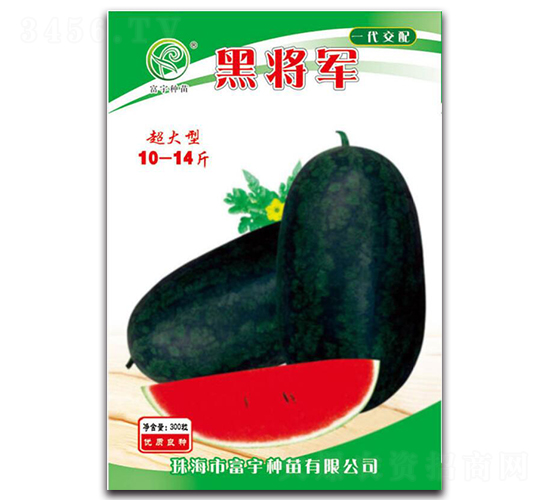 �ڌ�܊-���ϷN��-����N��