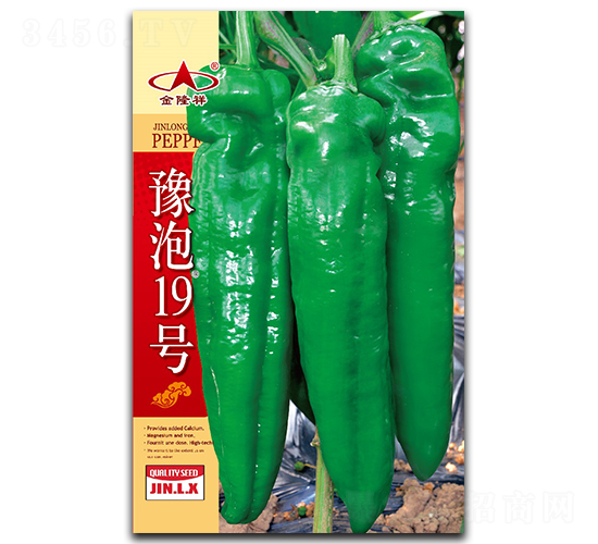 ԥ��19̖-�����N��-��¡��