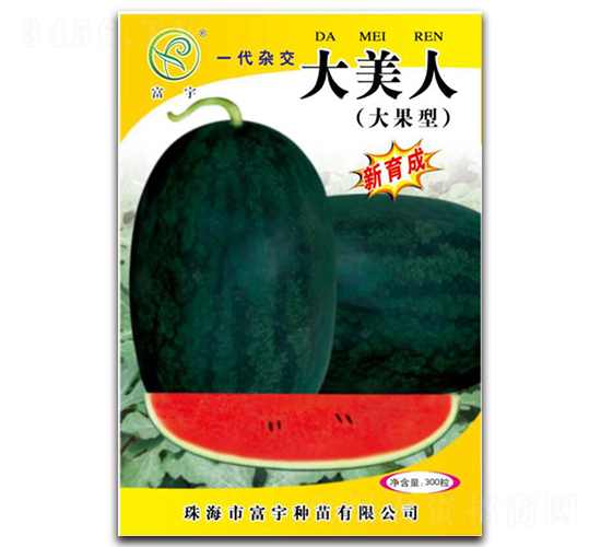 ������-���ϷN��-����N��