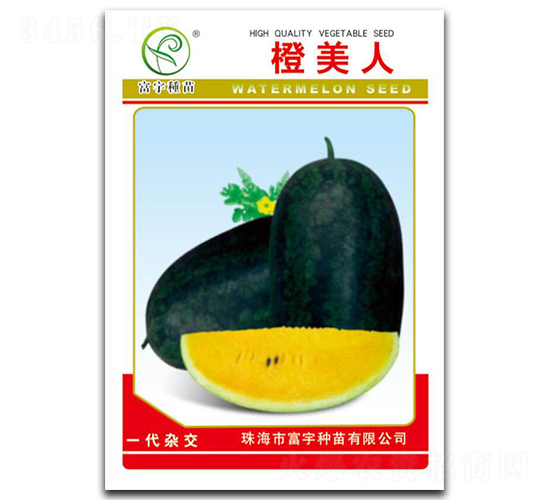 ������-���ϷN��-����N��