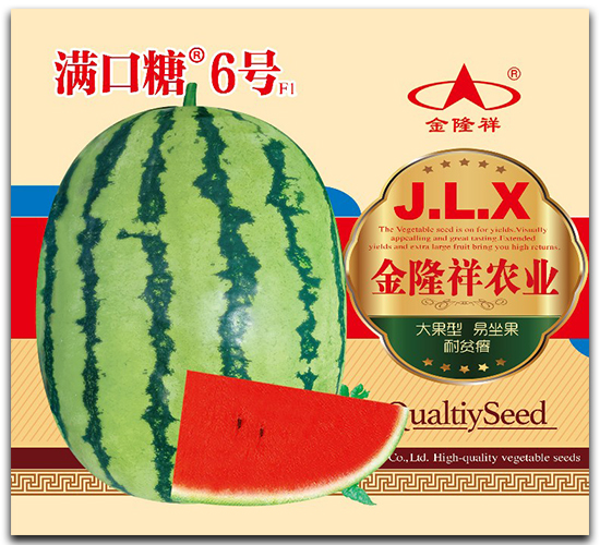 �M����6̖-���ϷN��-��¡��