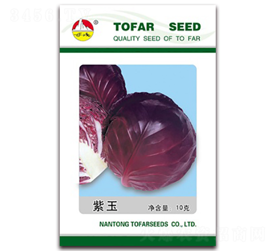 ����-���{�N��-�|���N�I(y��)