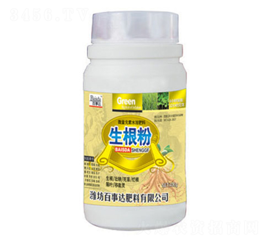 ������-�����_(d��)