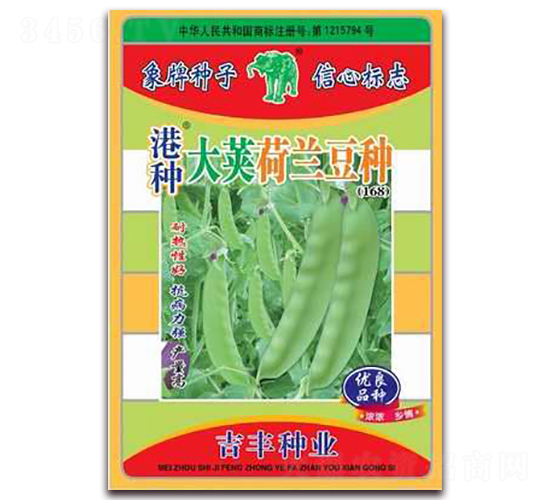 �۷N���v���m���N��168��-���m���N��-���S�N�I(y��)