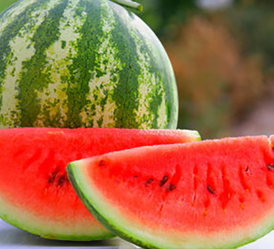 WA08-���ϷN��-�G�x�N�I(y��)