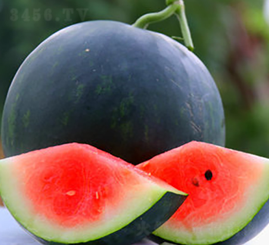 WA06-���ϷN��-�G�x�N�I(y��)