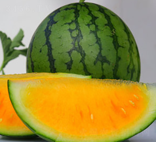 WA02-���ϷN��-�G�x�N�I(y��)