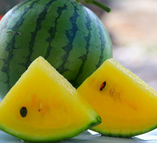 WA01-���ϷN��-�G�x�N�I(y��)