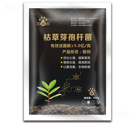 �ݲ�ѿ�ߗU��-��p�p-�������