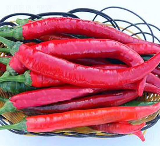 PA16-�����N��-�G�x�N�I(y��)