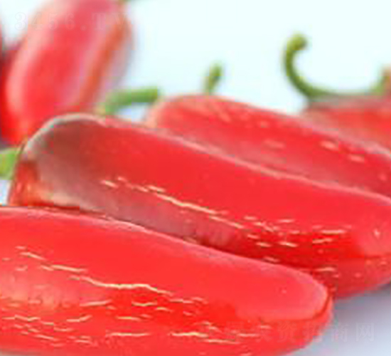 PA14-�����N��-�G�x�N�I(y��)