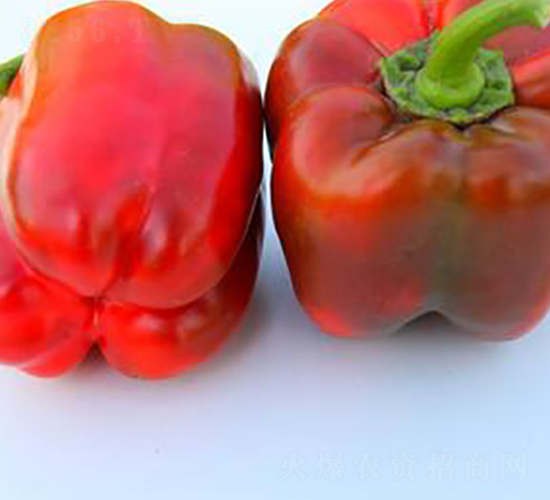 PA02-�����N��-�G�x�N�I(y��)