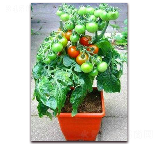 TA07-���ѷN��-�G�x�N�I(y��)