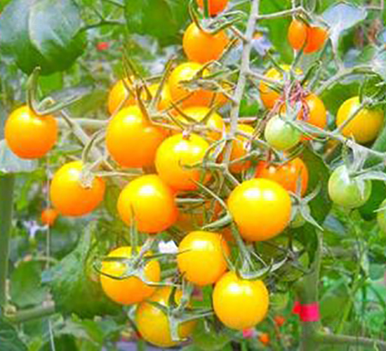 TA02-���ѷN��-�G�x�N�I(y��)