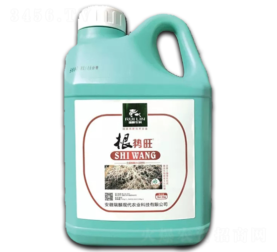 ����(sh��)��-����