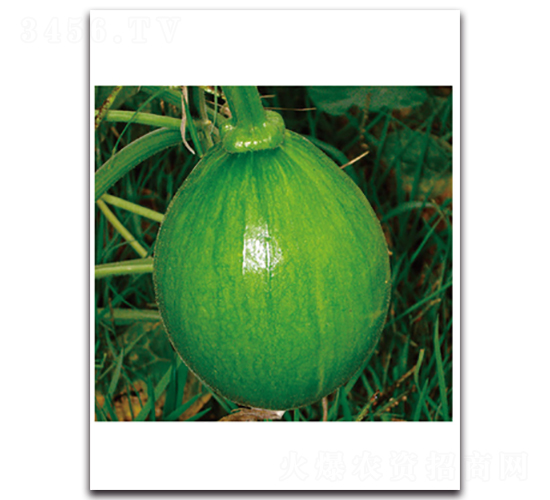 �������-�ϹϷN��-���}�r(n��ng)�I(y��)