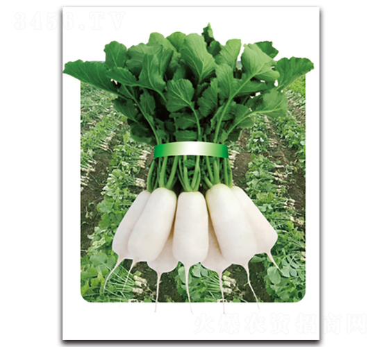 �r(n��ng)�Ґ۶�̖(h��o)-�}���N��-���}�r(n��ng)�I(y��)