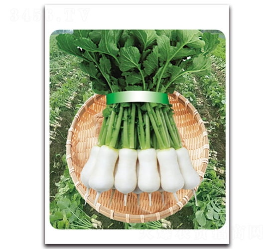 �r(n��ng)�Ґ�-�}���N��-���}�r(n��ng)�I(y��)