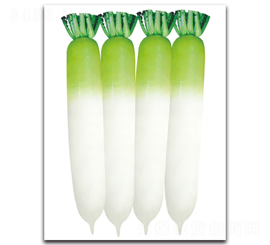 �_�ܚW-�}���N��-���}�r(n��ng)�I(y��)