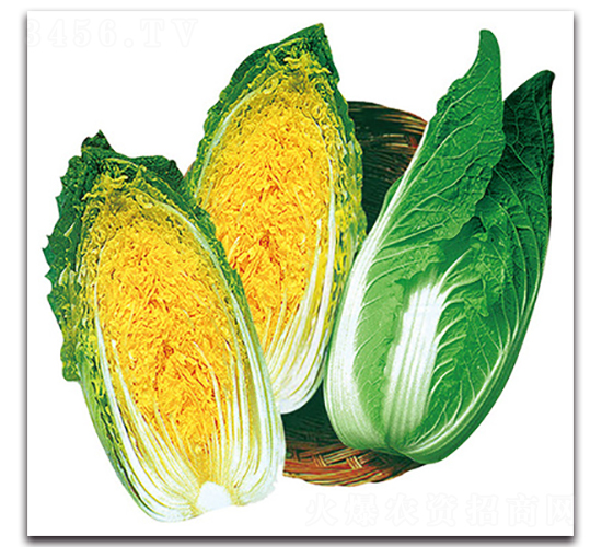 ��G������-�ײ˷N��-���}�r(n��ng)�I(y��)