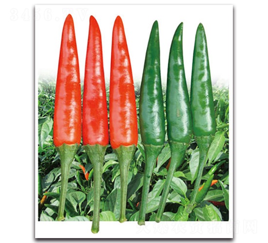 �F��1̖(h��o)-�����N��-���}�r(n��ng)�I(y��)