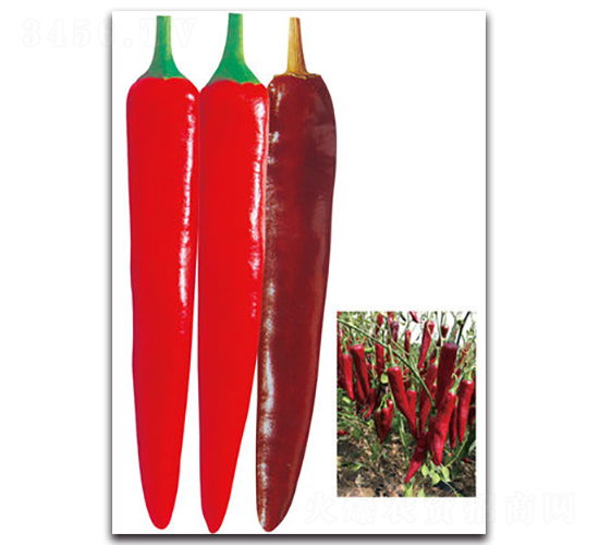 ��G̽��-�����N��-���}�r(n��ng)�I(y��)